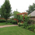 How to Keep Your Lawn in Pristine Condition: MN Lawn Care & Maintenance Tips